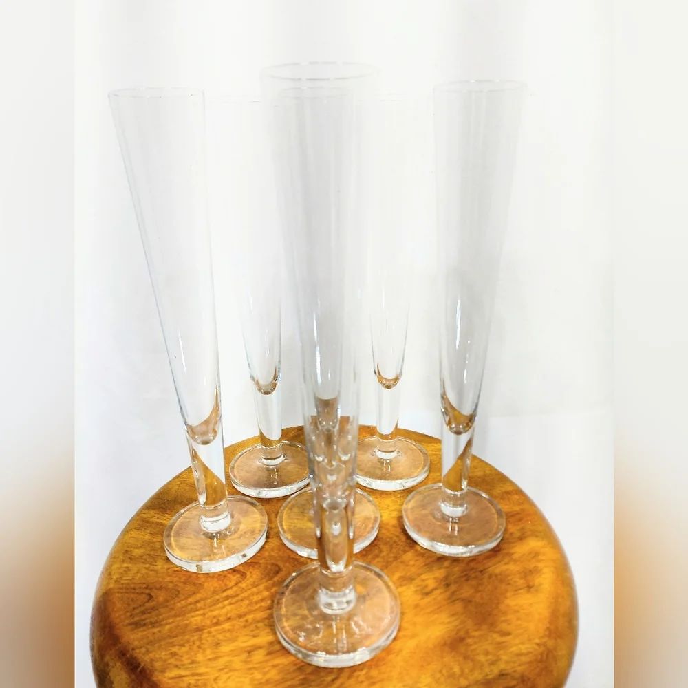 Crate & Barrel Viva Fluted Champagne Glasses NWOT